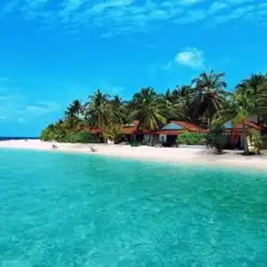 椰林海滩度假村头像