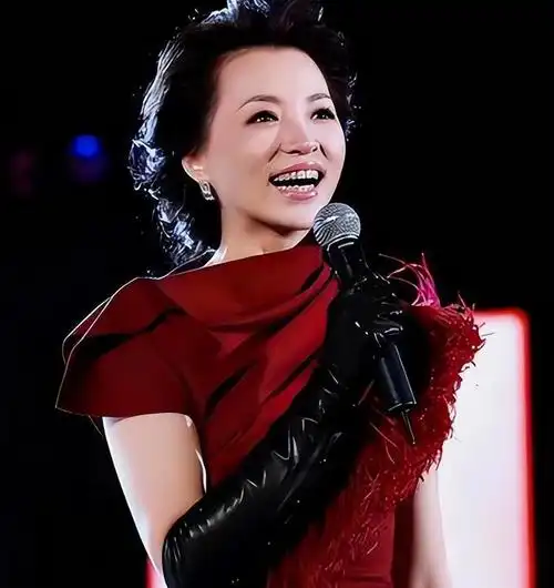 摊牌!和赵忠祥有孩子吗?董卿正面回应这次不会被原谅