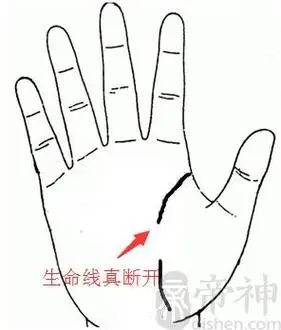 还会知道自己的未来的健康运势情况的,但是每个女人的生命线都是不一