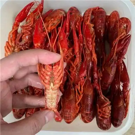 潜江清水小龙虾789钱速冻原味液氮锁鲜油炸冷冻龙虾 -