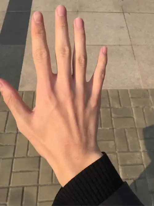 没有明说 博士的手  img src="http://img.nga.178.