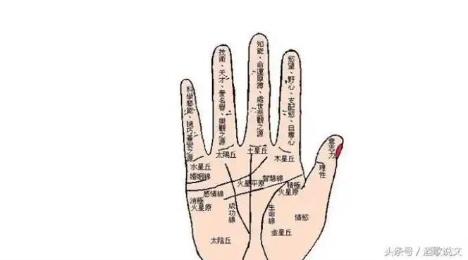 从手相看婚姻摊开双手看看婚姻线