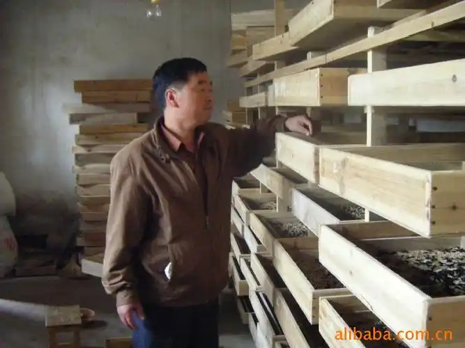 蝎子养殖公司|蝎子养殖加盟公司|蝎子的养殖方法-郑州蝎王科技