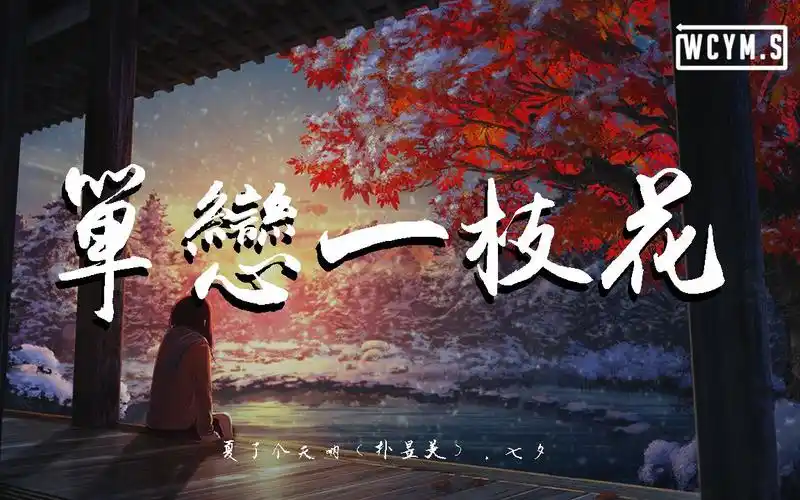 夏了个天呐朴昱美七夕单恋一枝花翻自张宇动态歌词lyricsvideo