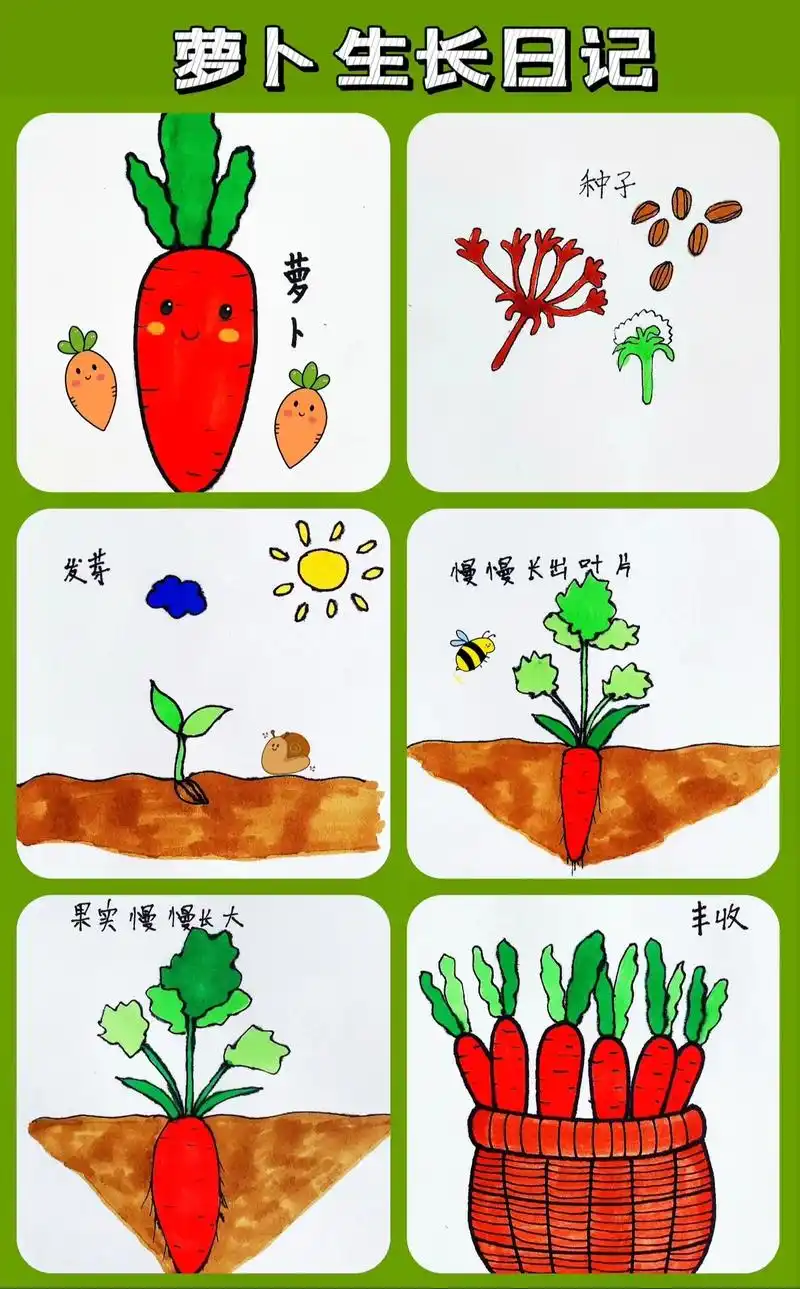 植物生长过程儿童画,萝卜创意儿童画.#创作灵感 #幼儿绘画  - 抖音