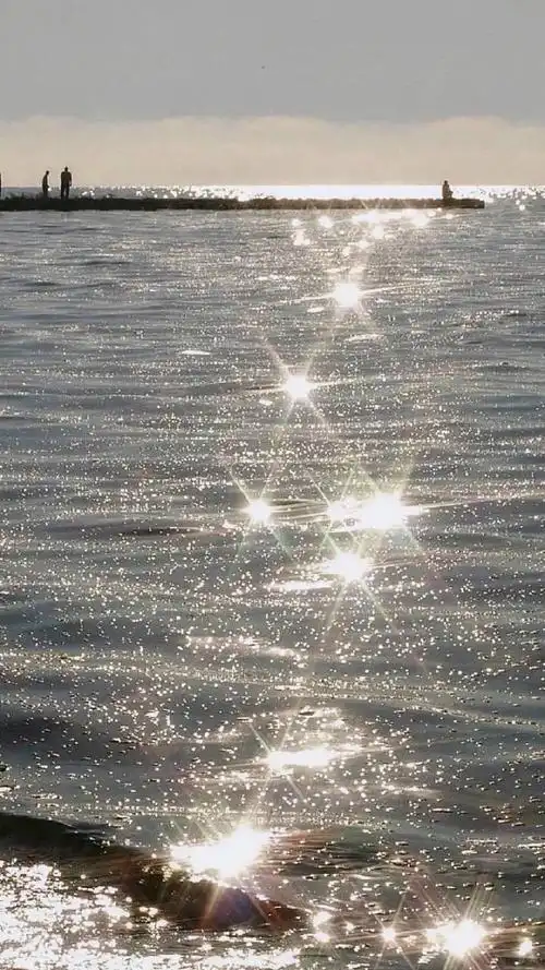 黑白冷淡风壁纸