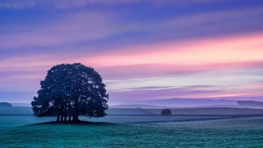 小清新唯美自然风光高清桌面壁纸高清大图预览1920x1080_风景壁纸下载