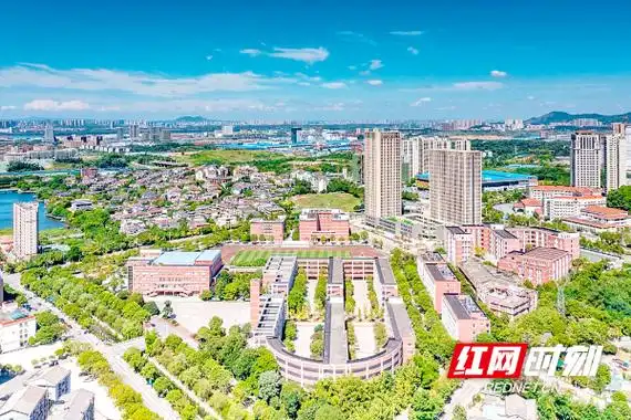 强强联手打造"优学金霞"