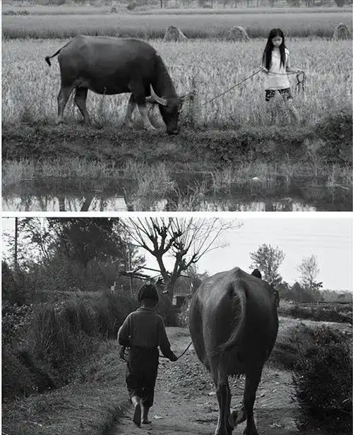 这些老照片7080后的记忆献给回不去的童年你的童年是这样么