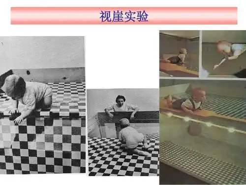 发展心理学经典实验的图片ppt