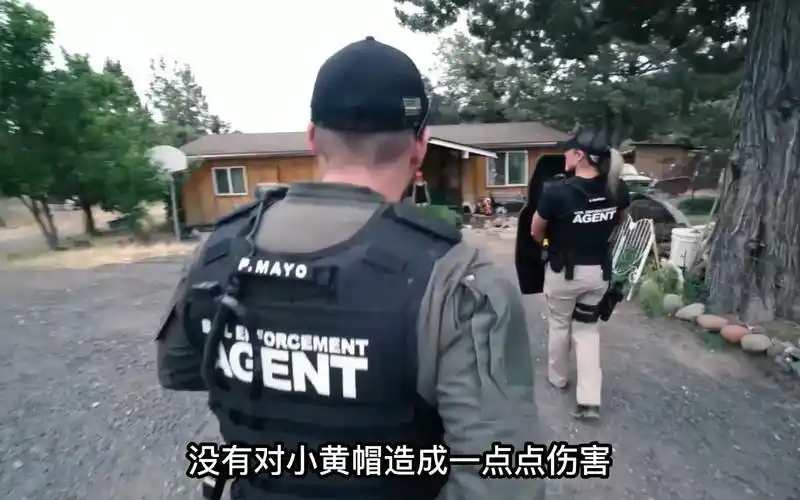 赏金猎人抓捕秀s02一天工资就有30000多块你想尝试一下吗