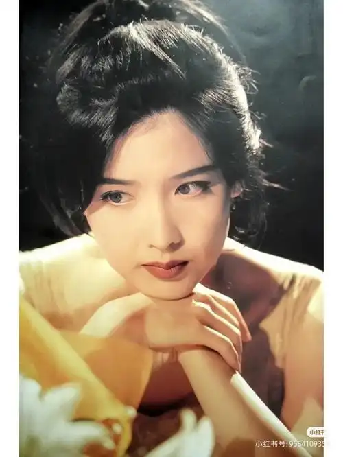 周慧敏 - 堆糖,美图壁纸兴趣社区