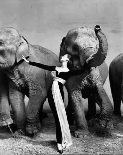 世界顶级摄影师的100张经典女性黑白照片