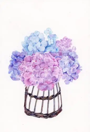 一束有容器的绣球花水彩步骤分享