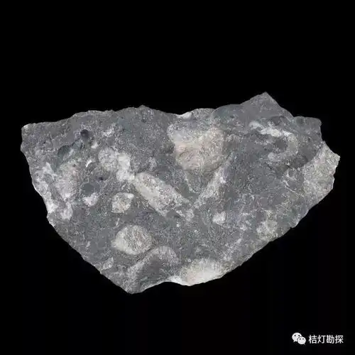 48珊瑚灰岩47砾岩46砾岩45砾岩44砾岩团块43沥青42无烟煤41燧石40燧