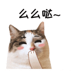 猫咪么么哒爱心飞吻可爱gif动图_动态图_表情包下载_soogif