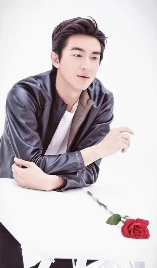 林更新正经起来帅爆了(林更新杀马特造型上热搜)(7)