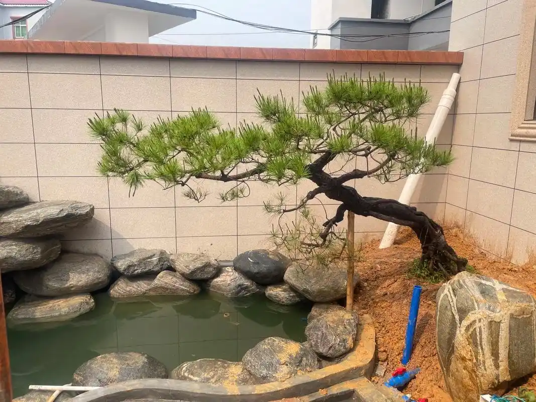 园林景观设计 #庭院设计 #小院鱼池假山设计 #园林绿化  - 抖音