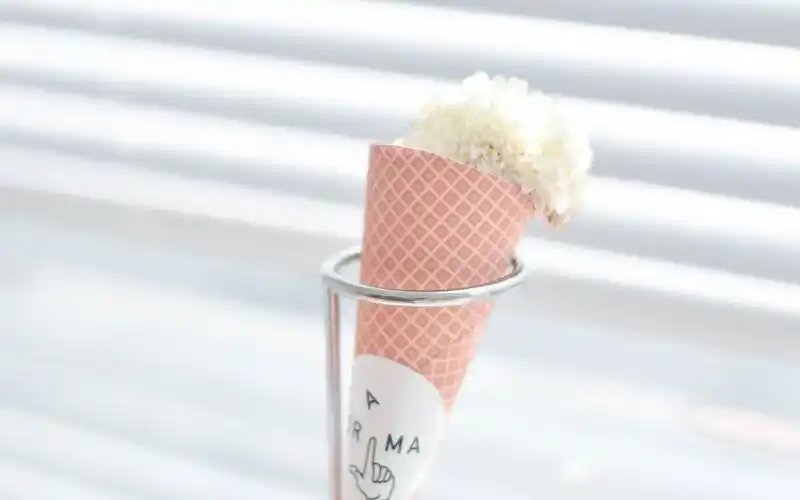 粉色系小清新唯美静物图片桌面壁纸