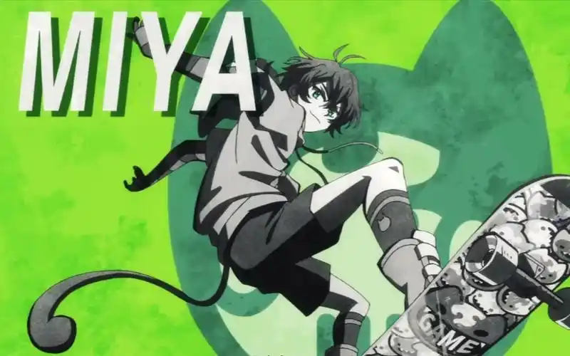 无限滑板知念实也可以抱走这只猫猫吗