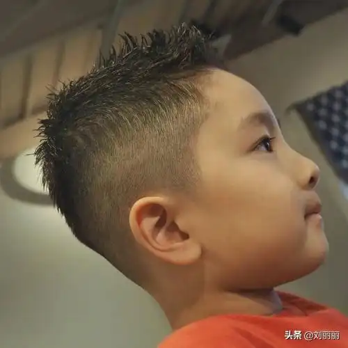 幼儿园男孩子发型短发(时尚有型真精神) - 扬帆号