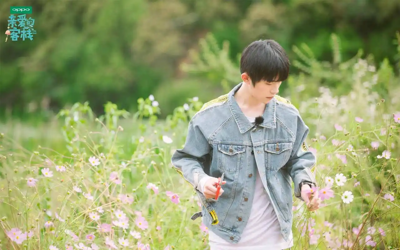 易烊千玺亲爱的客栈壁纸_帅气温暖易千瓦