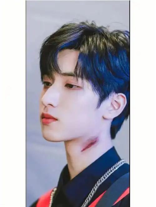 严浩翔个人资料