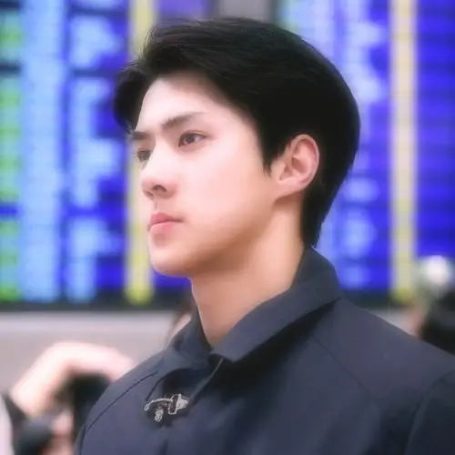 吴世勋 自截头像