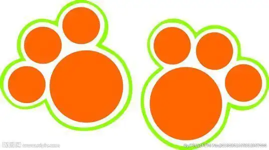 所有小动物脚印简笔画猫的脚印简笔画步骤脚印的简笔画熊脚印的简笔画