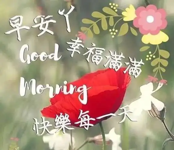 夏季最暖心的早上好问候语早晨好问候祝福表情图片大全