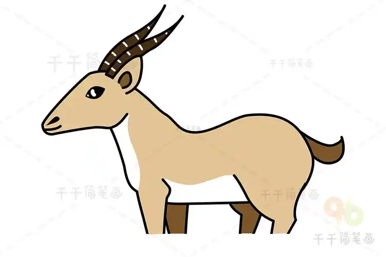 藏羚羊简笔画