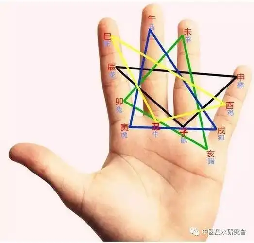 掐指神通七星(宫)八卦掌--寅午文化