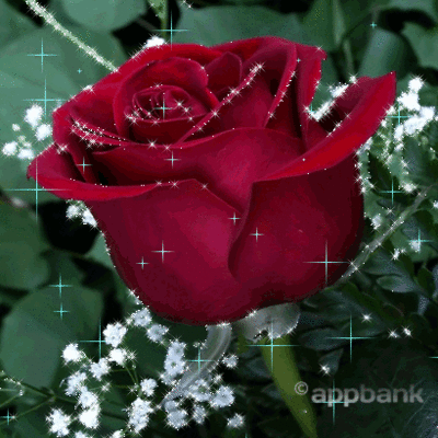 400_400gif 动态图 动图