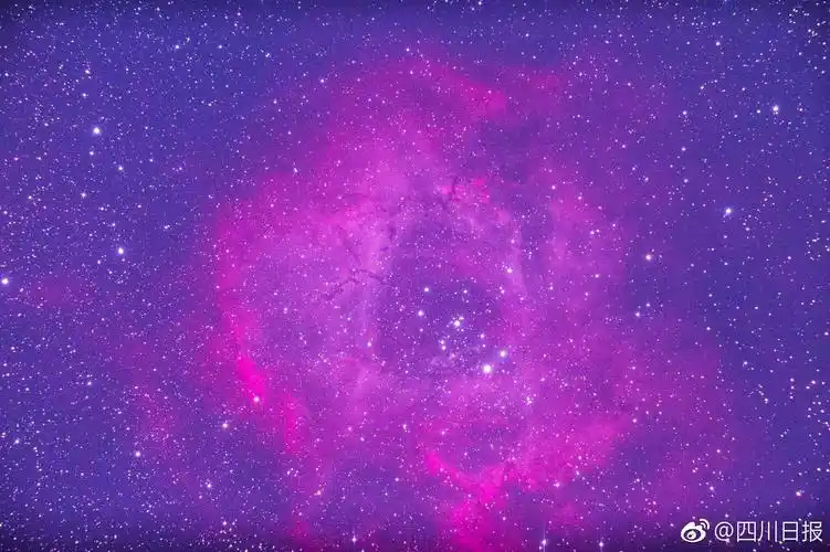 有人驱车数百公里到攀看流星雨!