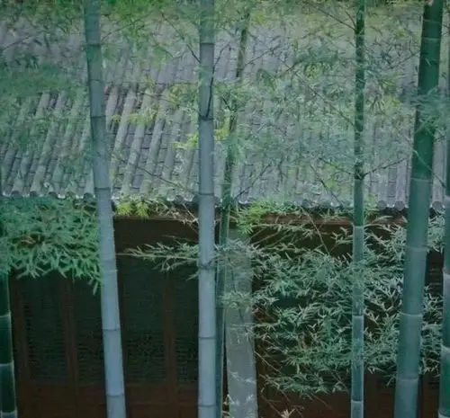 竹· 院_竹林