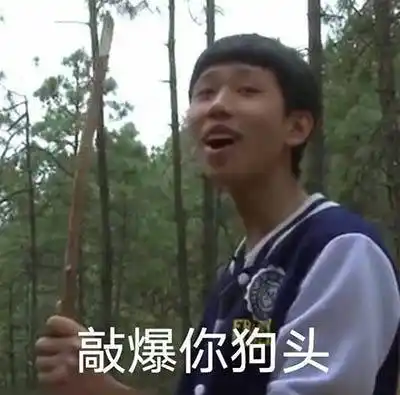 敲爆你狗头(王境泽)_敲爆_王境_狗头表情