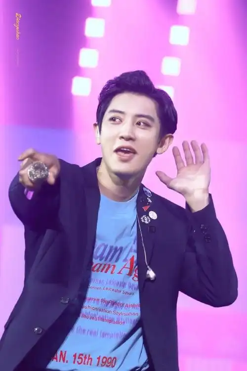 朴灿烈##朴灿烈爱中粉