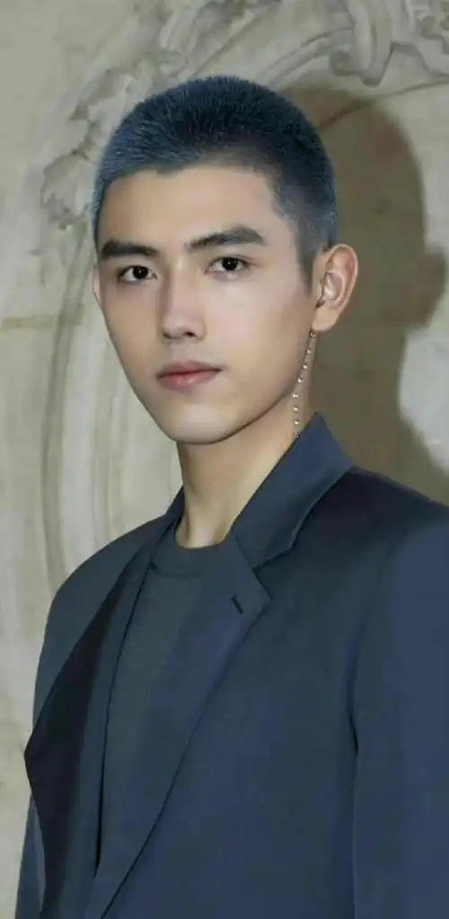 陈飞宇寸头外网生图