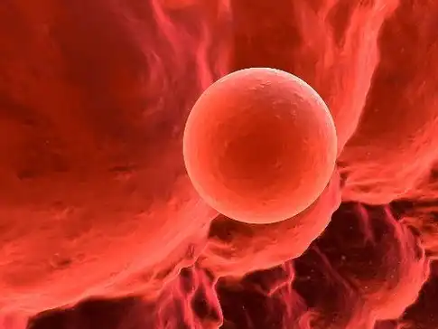 女性_检测_分泌物