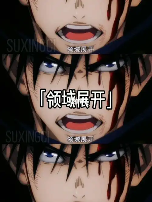 惠的领域嵌合暗翳庭帅b了