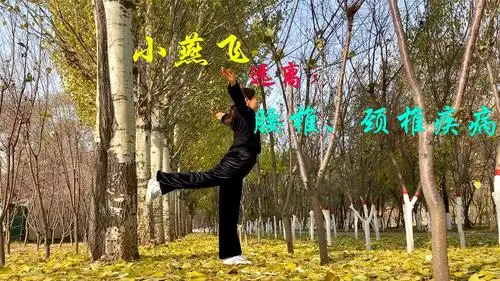 每天早晚30个小燕飞,远离腰椎,颈椎病,提升腰椎稳定性,瘦肚子