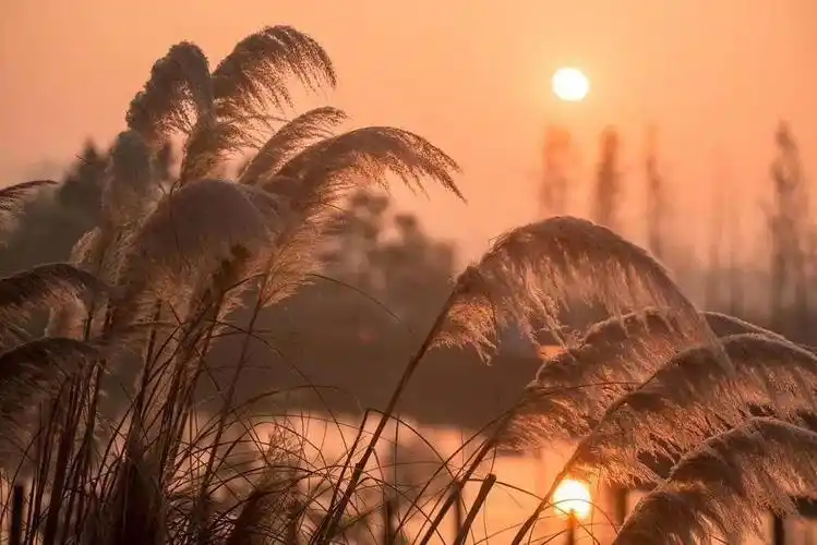 描写夕阳美景的古诗词(描写夕阳美的古诗句)