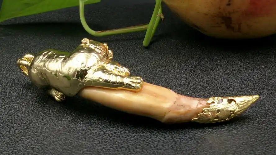 28(星期一)第八件拍品 【拍品名称】:清代*老熊牙挂件/把件 【拍品