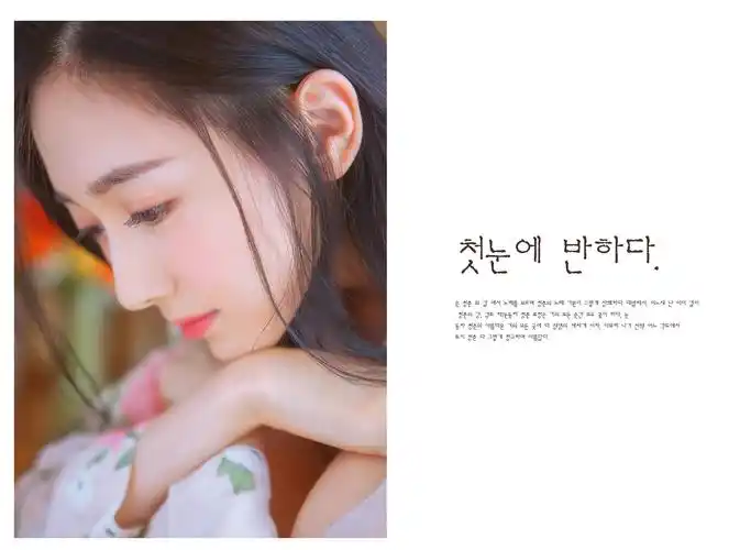 相册 相册模板 韩式相册 写真模板