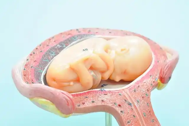 始皇帝和慈禧为何钟爱吃人胎盘?