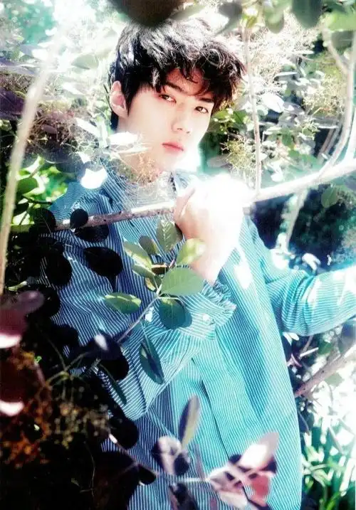 吴世勋这几张照片仙气满满,可以说是仙子本人了!