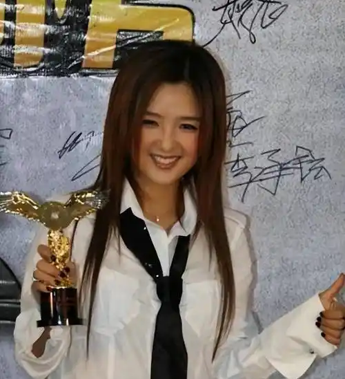 释小龙何洁分手11年后,一个身家过亿,一个捉襟见肘_事业_人生_音乐