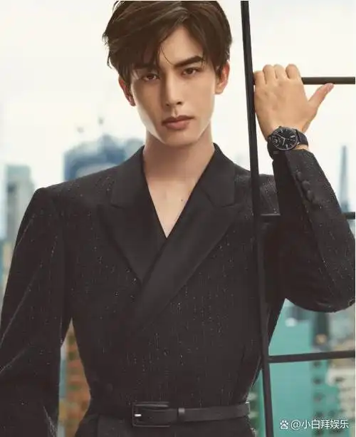 于正主捧的是许凯,虽然也很帅,但是口碑还不如宋威龙.