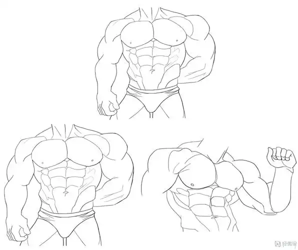 临摹男性肌肉—角色人物肌肉绘画训练