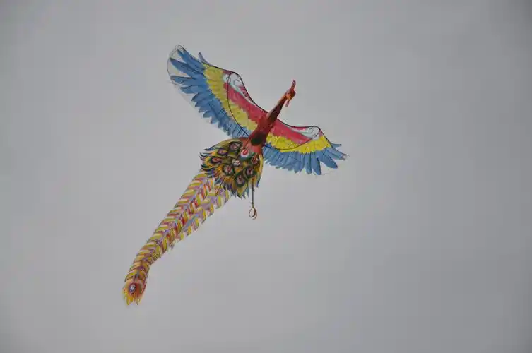 石塘小学风筝纸艺工作坊通过市级优秀学生艺术团复核验收